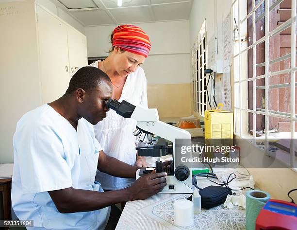 technicians using microscope in clinic laboratory. - malaria parasite 個照片及圖片檔