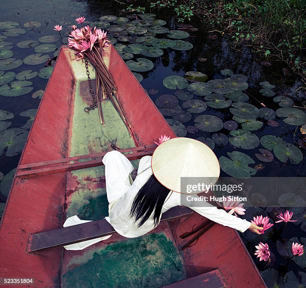 vietnamese women in traditional costume - asian style conical hat stock pictures, royalty-free photos & images