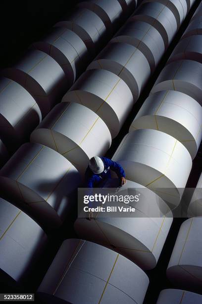 worker inspecting paper rolls - papierrolle stock-fotos und bilder