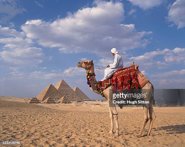 arab on camel at the pyramids near cairo - camel ride stock pictures, royalty-free photos & images