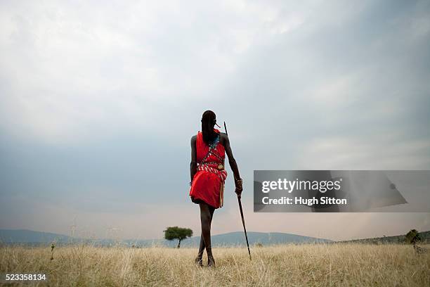 maasai tribesmen - masai stock-fotos und bilder