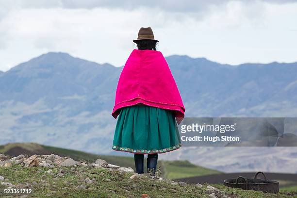 traditionally dressed woman, ecuador - ecuador people stock pictures, royalty-free photos & images