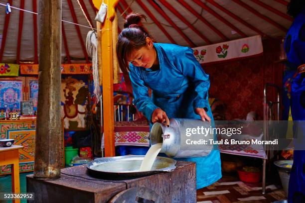 mongolia, bayankhongor, nomad camp, making butter - mongolian women stock pictures, royalty-free photos & images