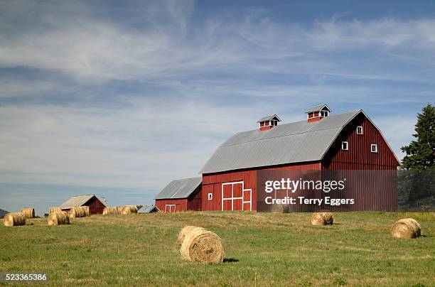 hay bales and red barn - bondgård bildbanksfoton och bilder