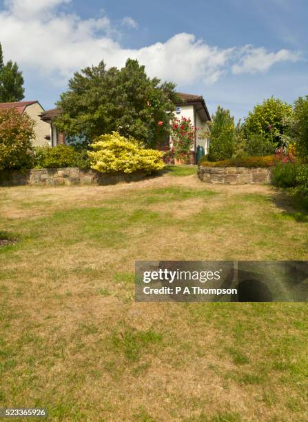 parched lawn through lack of rain, england pr - arid climate stock pictures, royalty-free photos & images