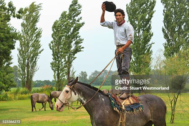 gaucho standing on horseback with hat in hand - gaucho foto e immagini stock
