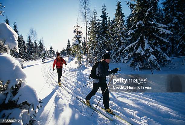 cross-country skiing - langlaufen stock-fotos und bilder