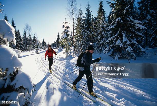 cross-country skiing - esquíes de fondo fotografías e imágenes de stock
