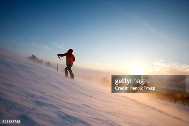 cross-country skiing at sunset - cross country ski stock pictures, royalty-free photos & images