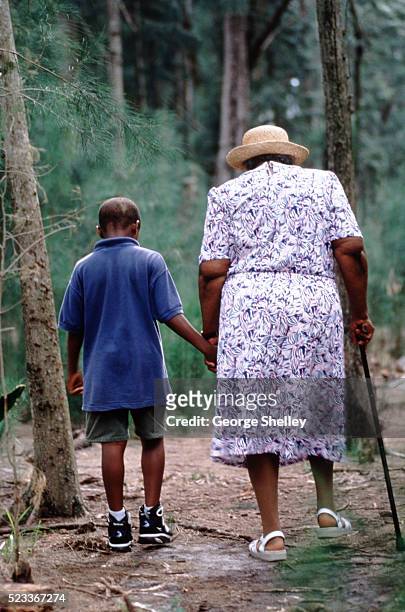 grandmother and grandson walking in woods - grandma cane stock pictures, royalty-free photos & images