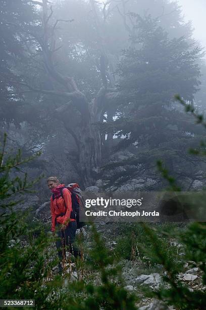 female hiker walking on trail in forest, lycian way, turkey - the lycian way in turkey stockfoto's en -beelden