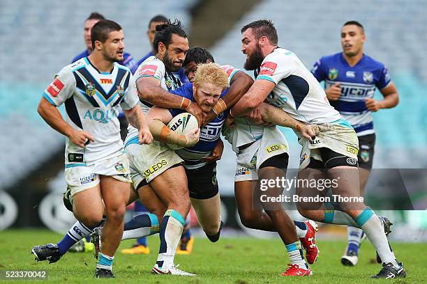 James Graham of the Bulldogs is tackled by the Titans defence during the round eight NRL match between the Canterbury Bulldogs and the Gold Coast...