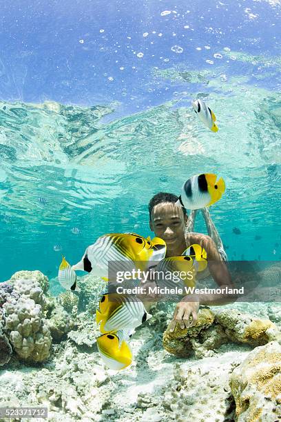 boy swimming among tropical fish in bora-bora lagoon - south pacific ocean bildbanksfoton och bilder