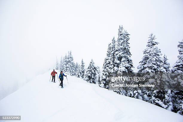 shoeshoeing at hurricane ridge in olympic national park, port angeles, washington state, usa - port angeles washington state stock pictures, royalty-free photos & images