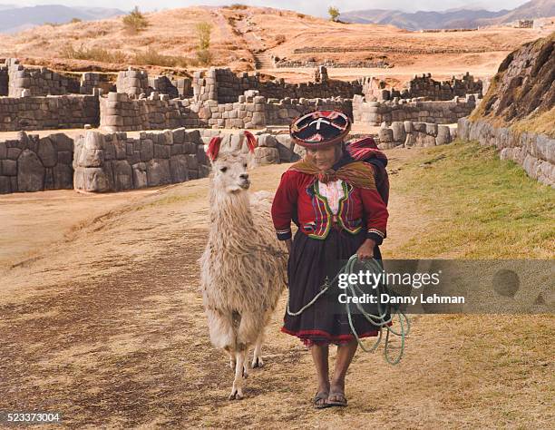 quechua indian woman with her alpaca at sacsayhuaman inca ruins - quechuas fotografías e imágenes de stock