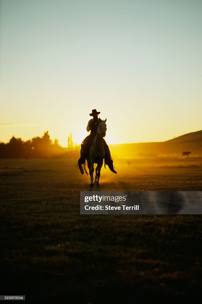 Lone cowboy