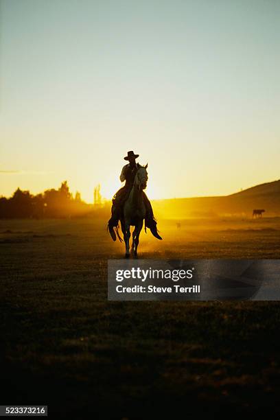 lone cowboy - cow boy photos et images de collection