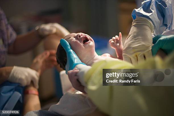 crying newborn - obstetrician foto e immagini stock