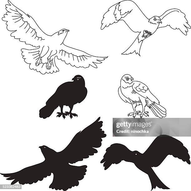 664点のハヤブサ科イラスト素材 Getty Images 664点のハヤブサ科イラスト素材 Getty Images