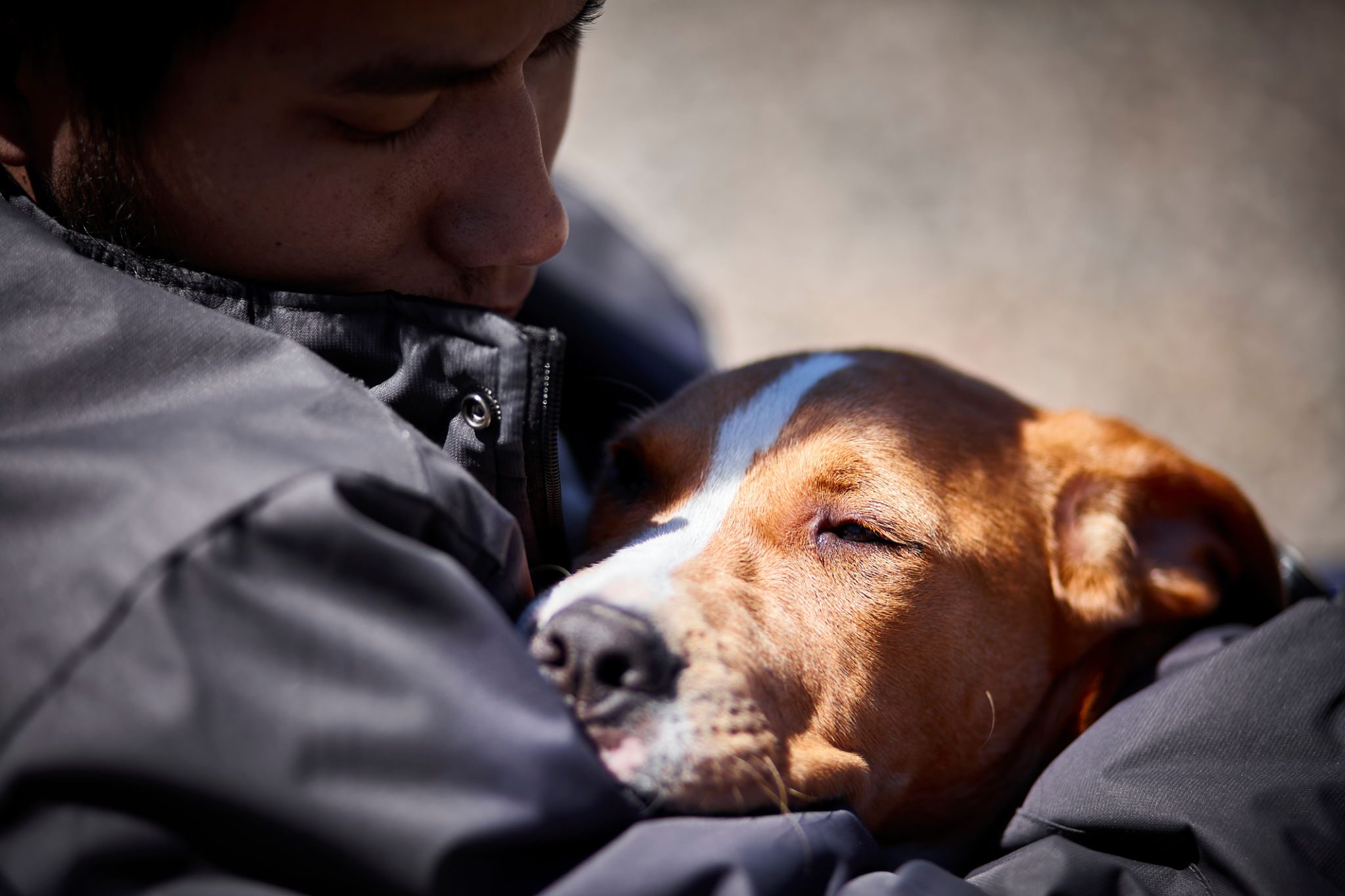 psychiatric service dog