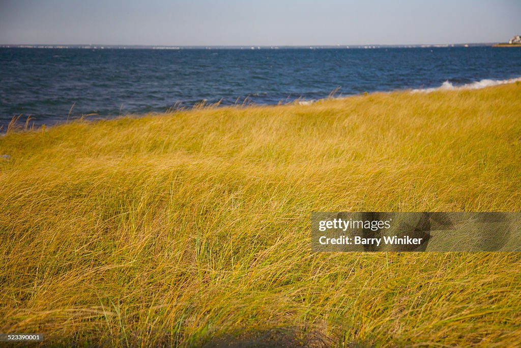 Quiet Cape Cod beach, Falmouth