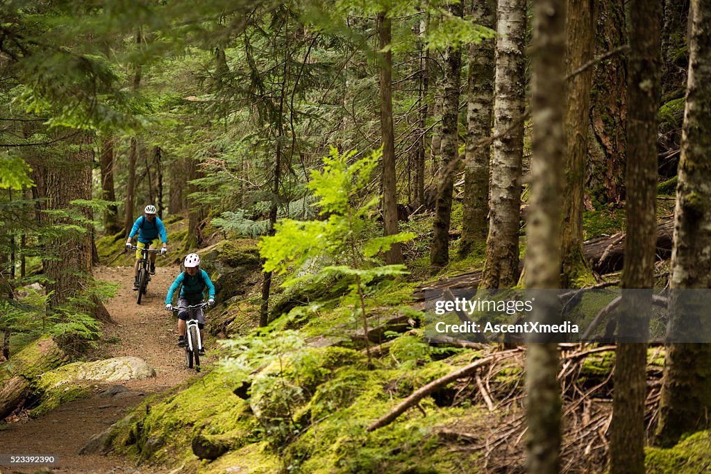 Couple biking in an old growth forest