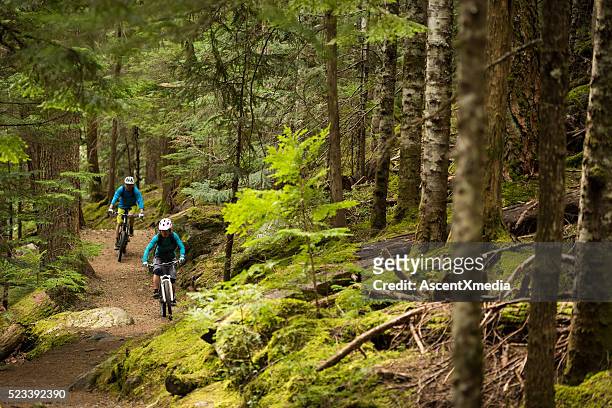 couple biking in an old growth forest - whistler bc stock pictures, royalty-free photos & images