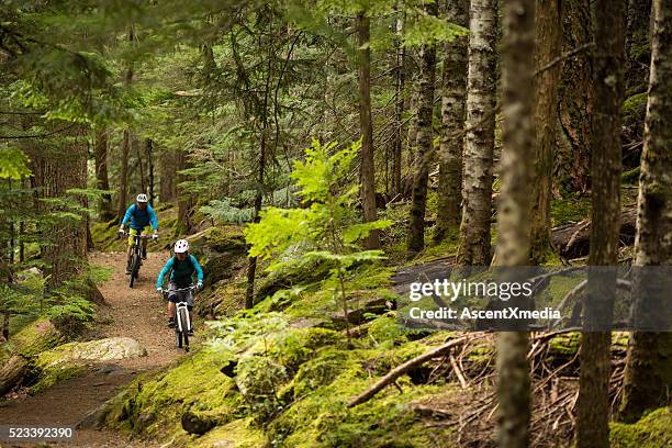 couple biking in an old growth forest - mountain biking stock pictures, royalty-free photos & images