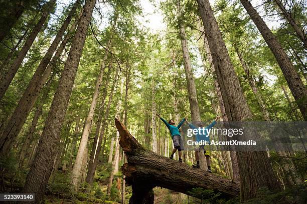 hikers rejoicing in a temperate rainforest - big hug stock pictures, royalty-free photos & images