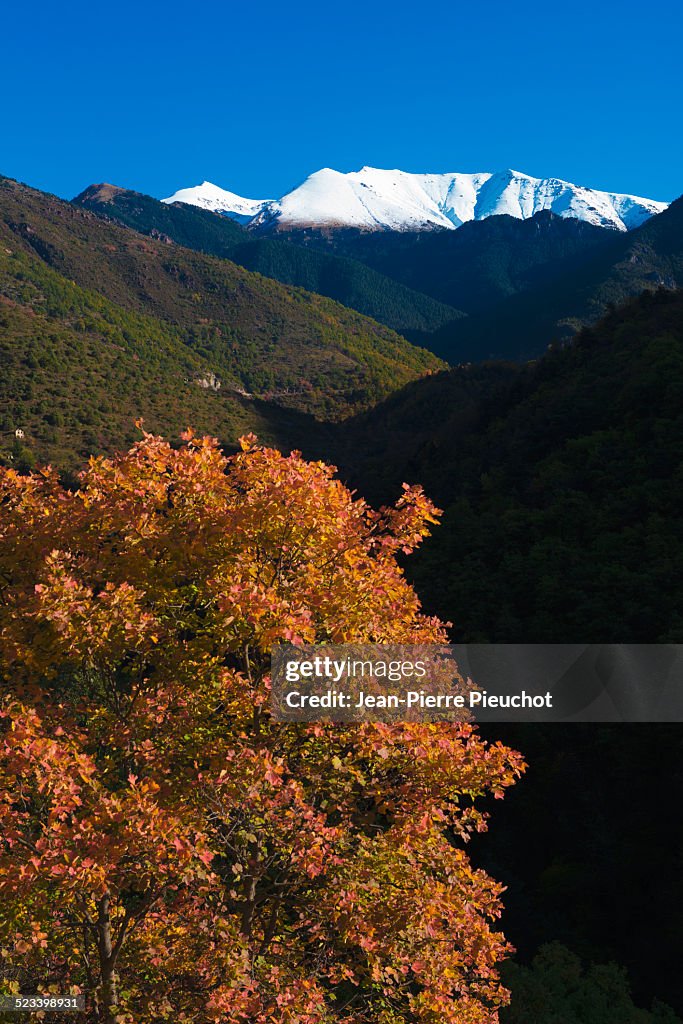 Autumn and first snow