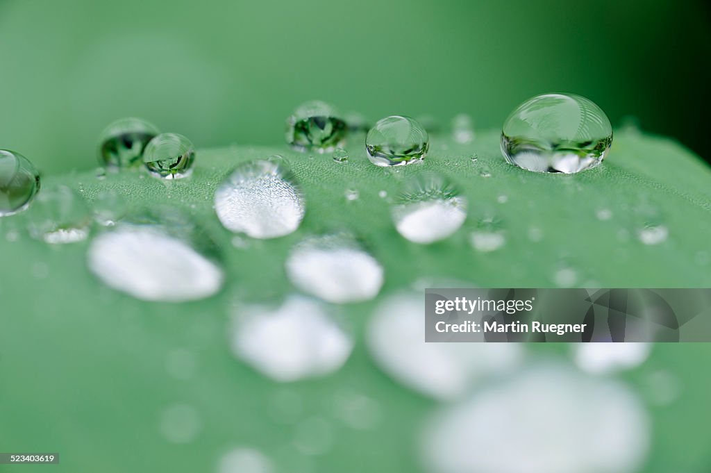 Water droplets