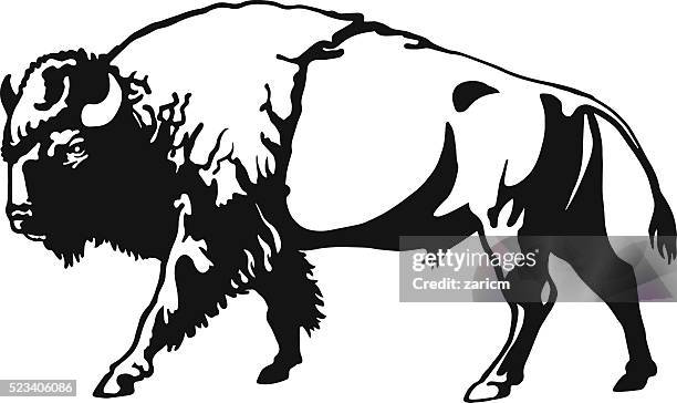 buffalo - american bison - american bison stock illustrations