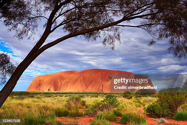 die schönheit von ayers rock - australisches buschland stock-fotos und bilder