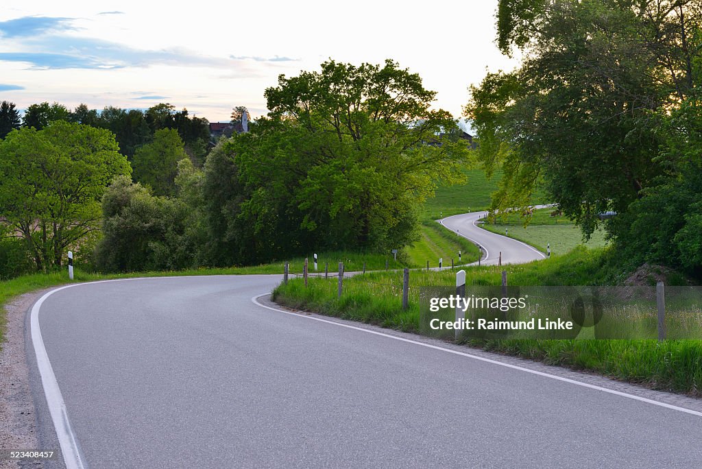 Country Road in Spring