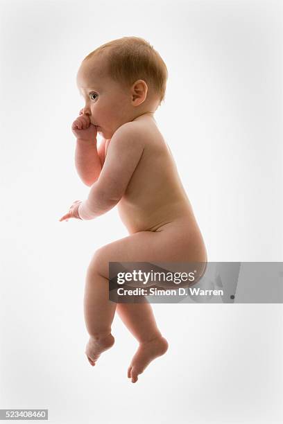 baby sucking its thumb - thumb sucking stock pictures, royalty-free photos & images