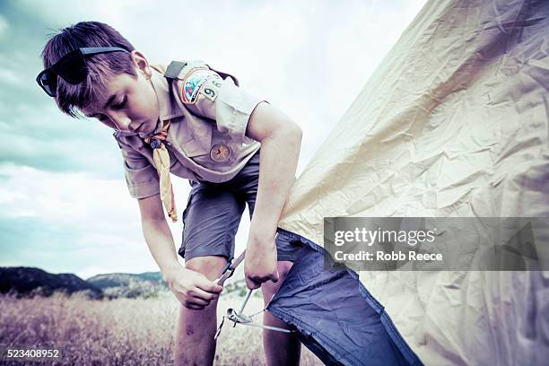 a boy scout sets up a camping tent at boy scout camp in colorado. - robb reece stock pictures, royalty-free photos & images