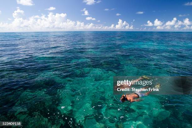 floating above a coral reef - snorkeling foto e immagini stock