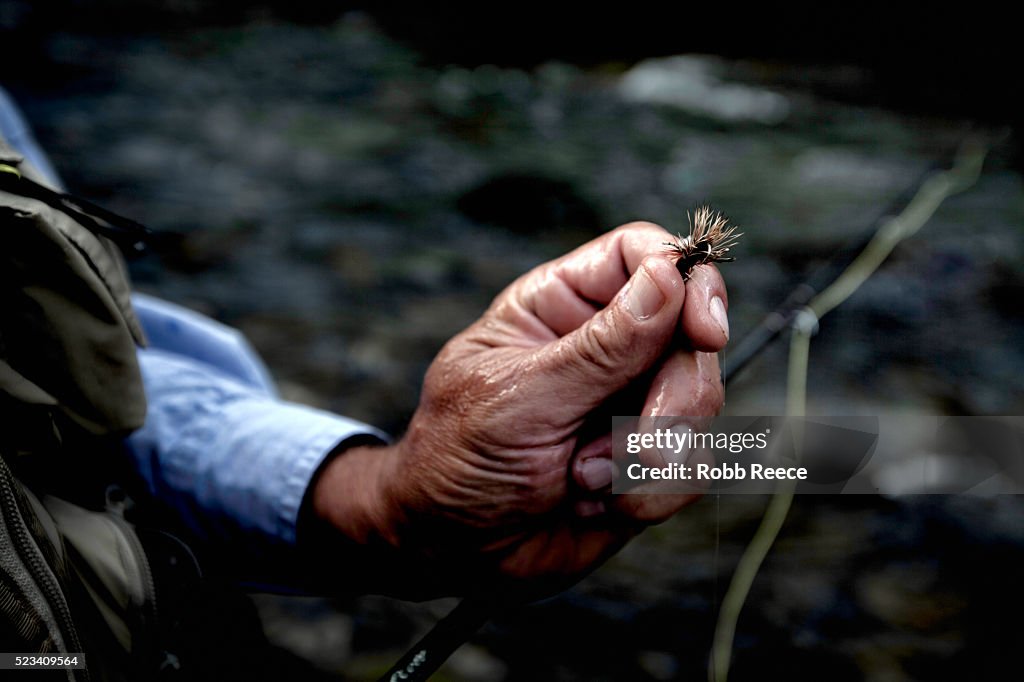 Close-up of fly fisherman's hand holding fly, Colorado, USA