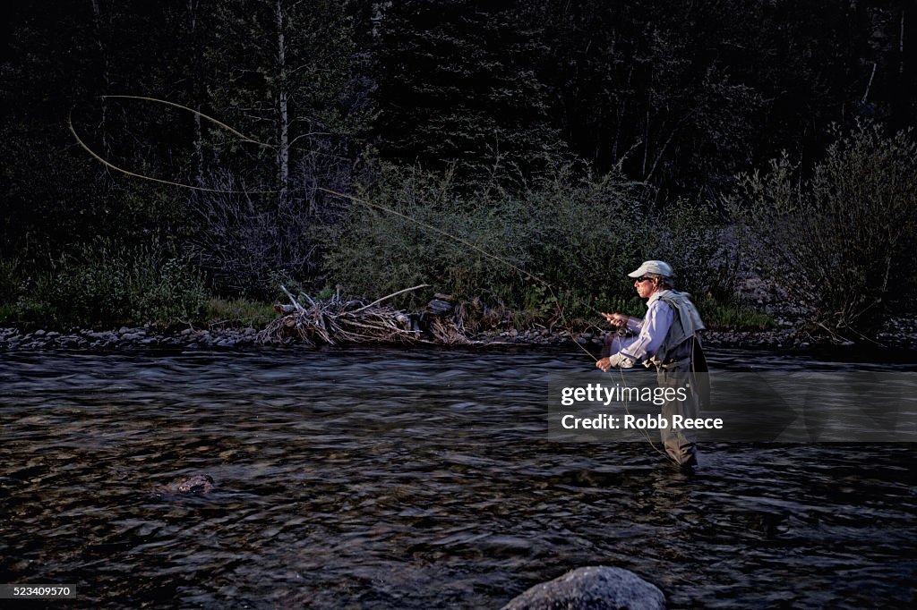 Fly fisherman standing in stream and casting his fly rod, Colorado, USA