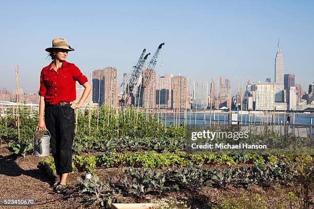 portrait of urban female farmer holding watering can, brooklyn, new york city, new york state, usa - urban garden stockfoto's en -beelden