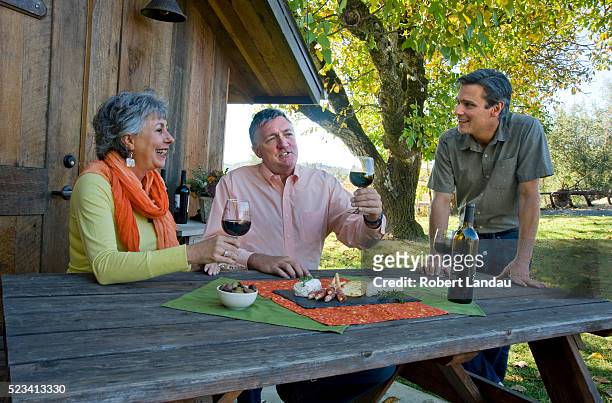 people enjoying wine in california - mendocino bildbanksfoton och bilder