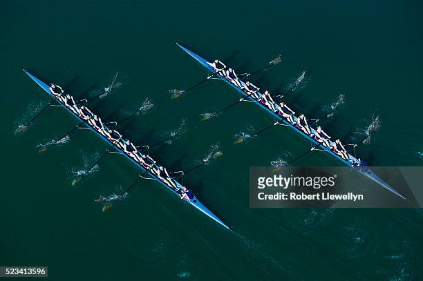 two eight crews - crew rowing stock pictures, royalty-free photos & images