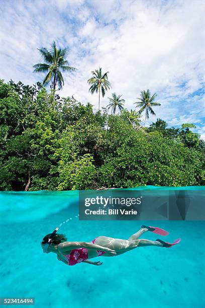 snorkeling in the tropics - solomon islands stock pictures, royalty-free photos & images