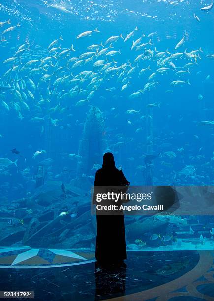 atlantis aquarium in atlantis hotel on palm jumeirah island - dubai aquarium stock pictures, royalty-free photos & images