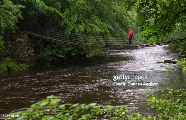 hiker crossing a bridge. - northumberland foto e immagini stock