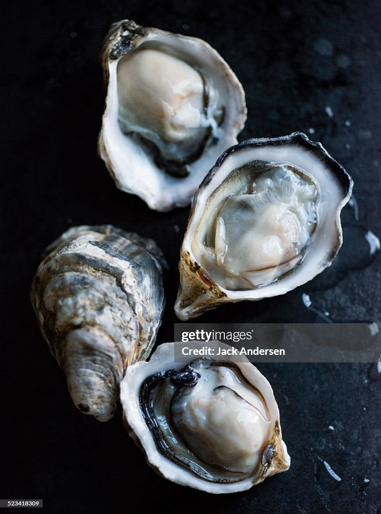 Raw Oysters