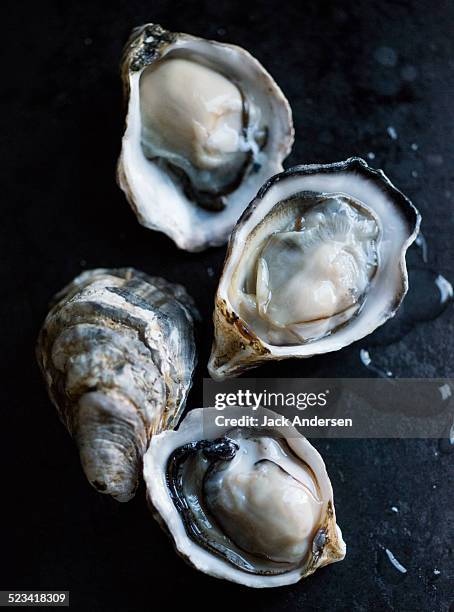 raw oysters - ostra - fotografias e filmes do acervo