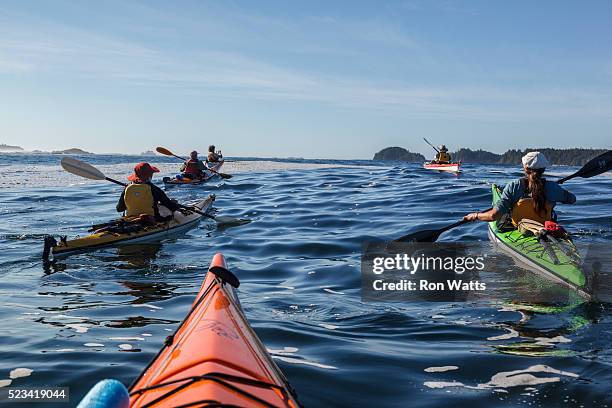 clayoquot sound - sea kayaking imagens e fotografias de stock