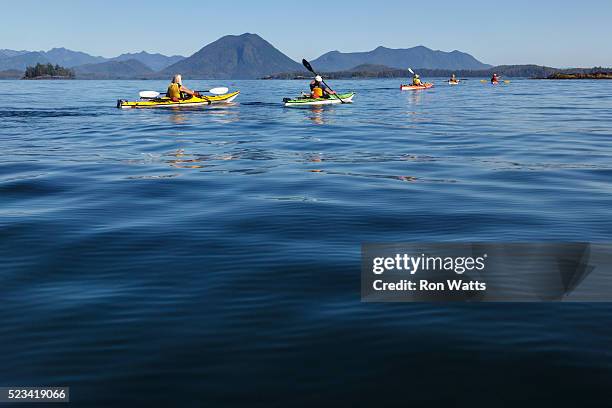 clayoquot sound - sea kayaking group stock pictures, royalty-free photos & images
