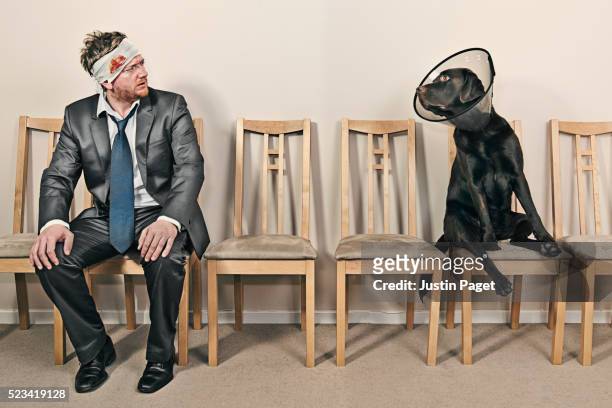 man and dog in waiting room - disaster victim stock pictures, royalty-free photos & images